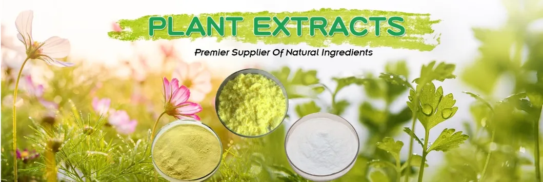 Extrato em Pó de Ashwagandha com Withanolides de Planta Natural 10%