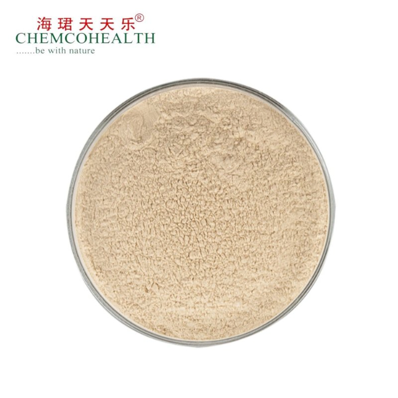 Ginsenosídeos 1%-60%HPLC 1%-80%UV Extrato de Panax Ginseng