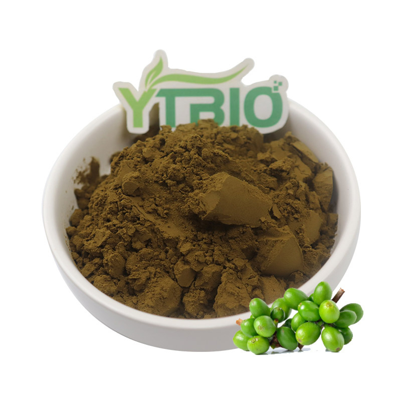 Extrato Natural de Planta Ácido Clorogênico 50% 98% CAS 9000-38-8 Extrato de Grão de Café Verde / Extrato de Flor de Jasmim