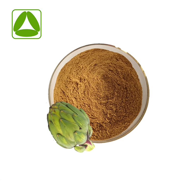 Pó de Extrato de Folha de Alcachofra Natural de Grau Alimentício 10: 1 Extrato de Planta Puro Amostra Grátis Disponível