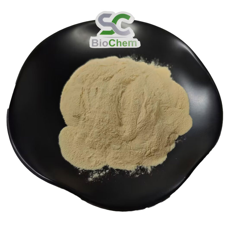 Antioxidante Natural Vitamina C 17% 25% Pó de Extrato de Cereja Acerola