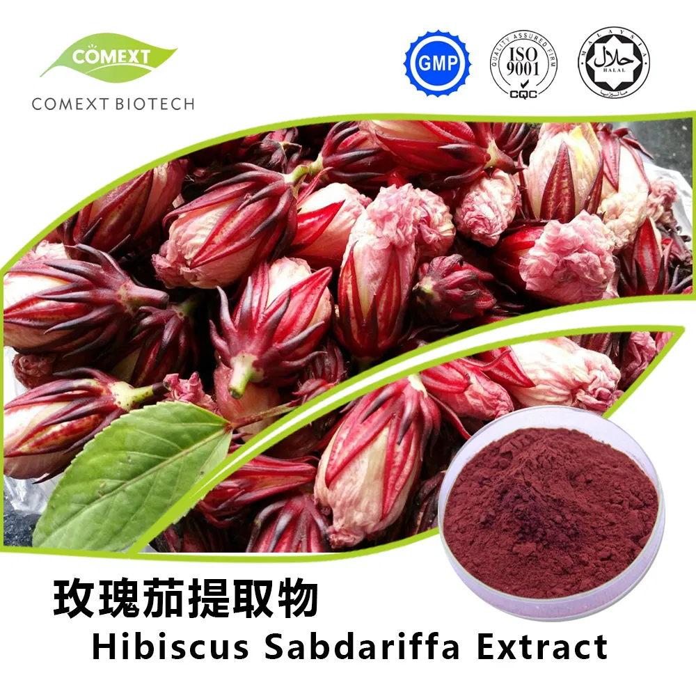 Extrato em Pó de Flor de Hibisco Sabdariffa Comext UV 10% Antocianidina para Antioxidante