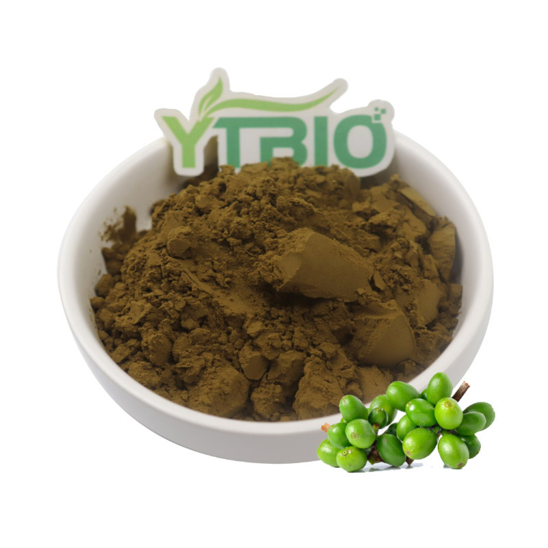 Extrato Natural de Planta Ácido Clorogênico 50% 98% CAS 9000-38-8 Extrato de Grão de Café Verde / Extrato de Flor de Jasmim