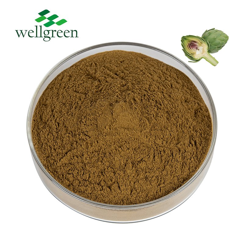 Pó de Extrato Herbal Natural 10: 1 20: 1 Extrato de Alcachofra
