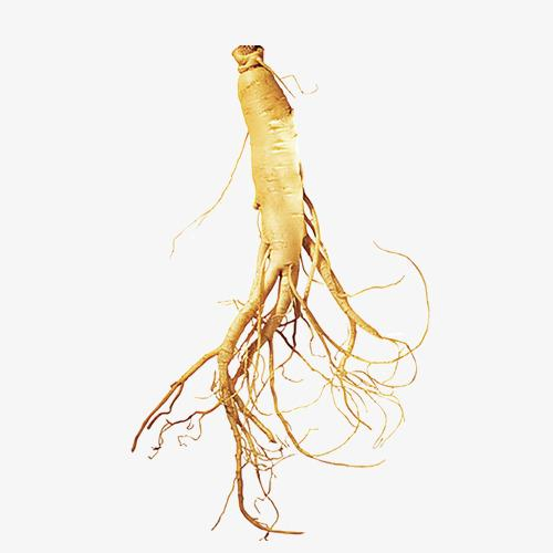 Biotecnologia do Bem-Estar Mundial 5%-80% Ginsenosídeos UV 5%-60%Ginsenosides HPLC Extrato de Panax Ginseng