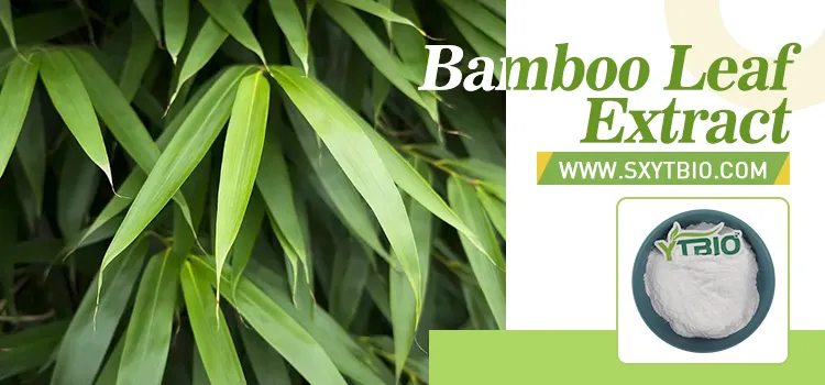 Venda Quente Suplemento Herbal Natural Pó de Extrato de Folha de Bambu Sílica