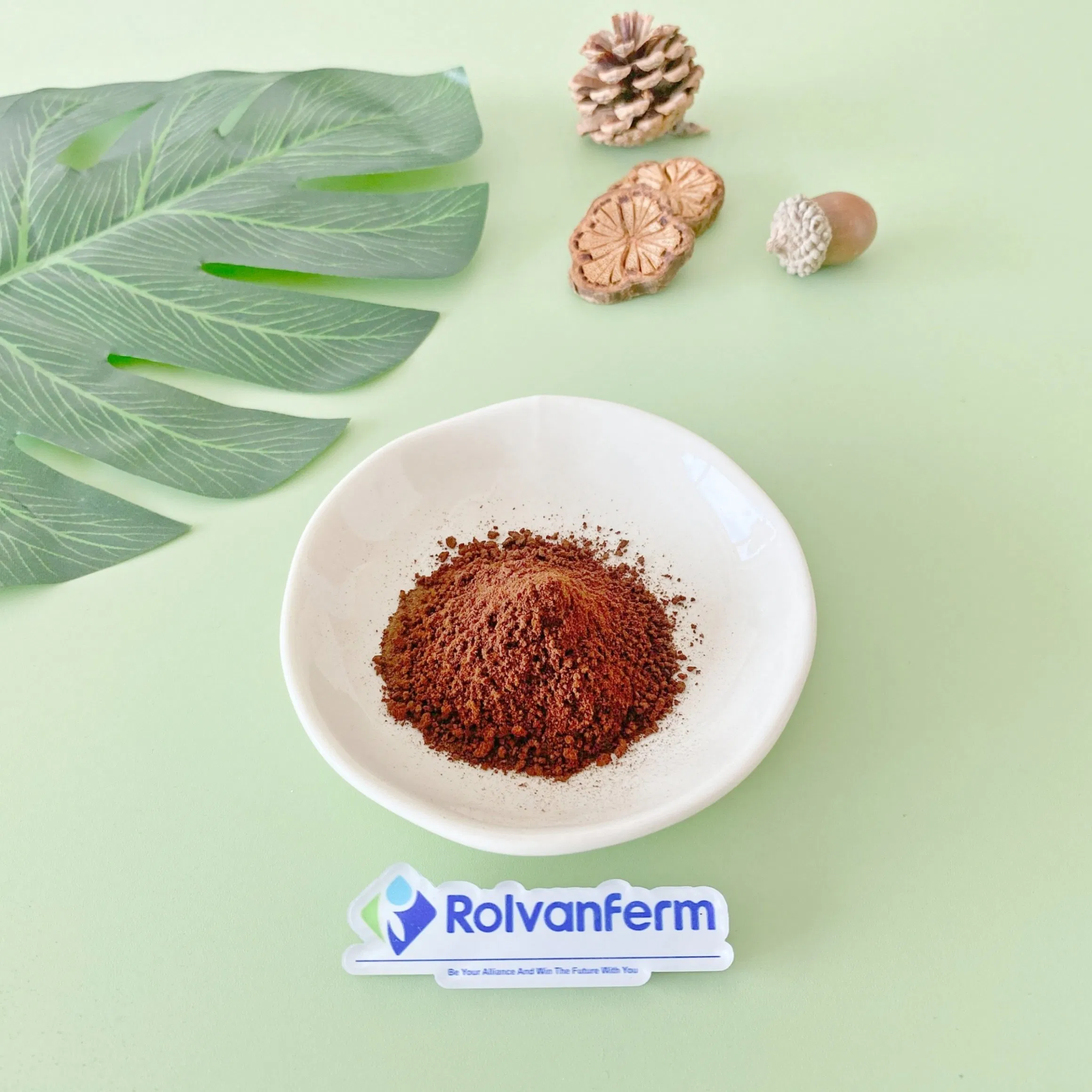 Extrato de Astragalus Membranaceus Orgânico Erva Adaptogênica Extrato de Astragalus para Cosméticos - Antioxidante Antienvelhecimento Alívio do Estresse Fórmulas de Bem-Estar