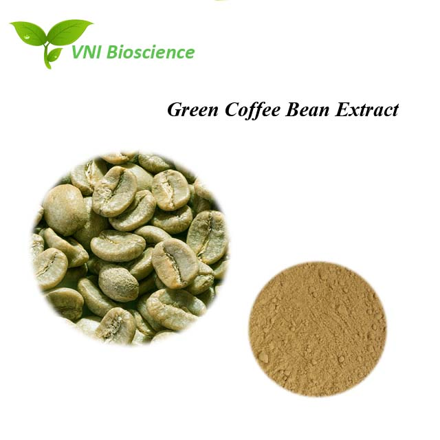 Certificado Kosher e Halal 100% Ácido Clorogênico Natural 70% 30% Extrato de Grão de Café Verde