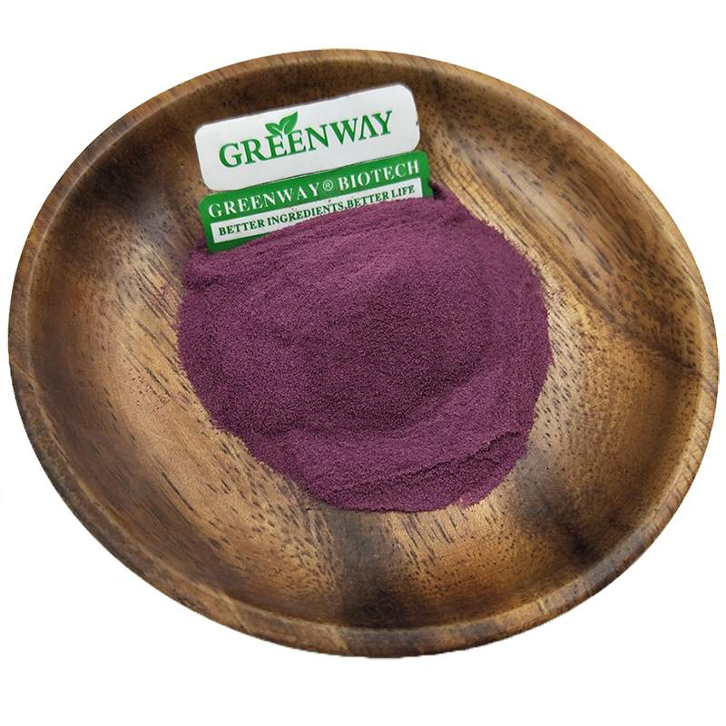 Extrato de Planta Antocianina Orgânica 5% Antioxidante CAS 84603-58-7 Extrato de Sabugueiro