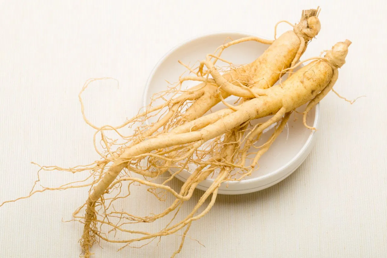 Extrato de Raiz de Ginseng com Efeitos de Aumento da Imunidade Usado em Alimentos Funcionais