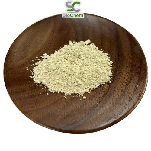 Pó de Extrato de Ginseng Panax Extrato de Folha e Raiz de Ginseng 4%~80% Ginsenosídeo
