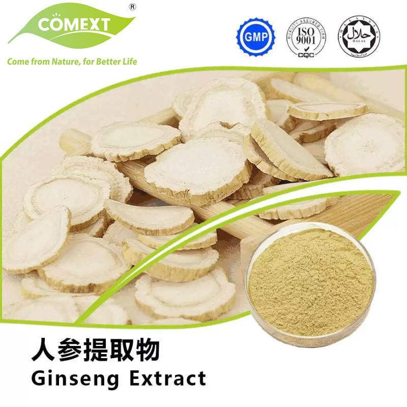 Fornecimento de Fábrica Comext Extrato de Ginseng Panax 80% Ginsenosídeos com Alta Qualidade