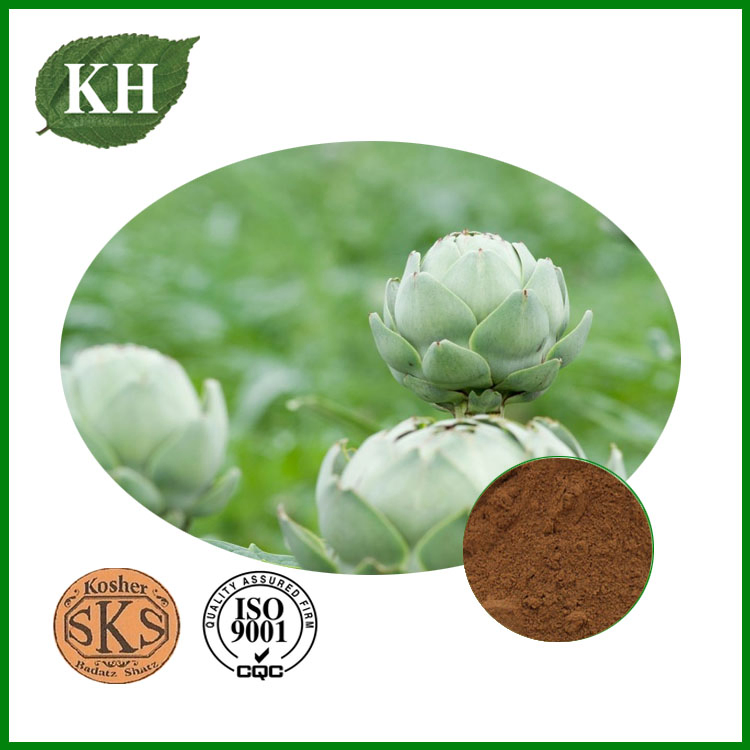 Extrato de Alcachofra HPLC Natural Alto 0.5% 5% Cinarina