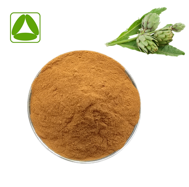 Pó de Extrato de Folha de Alcachofra Natural de Grau Alimentício 10: 1 Extrato de Planta Puro Amostra Grátis Disponível