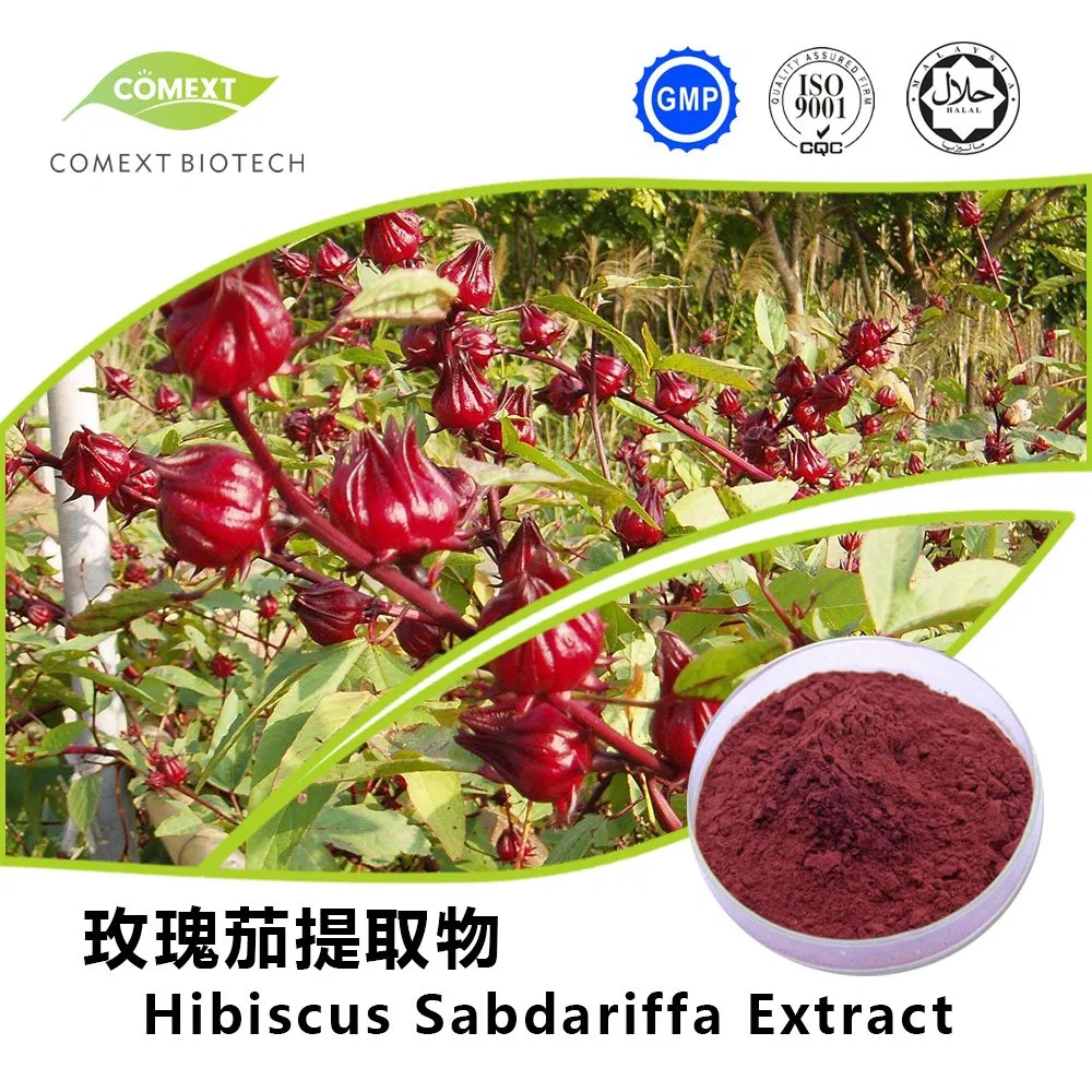 Extrato em Pó de Flor de Hibisco Sabdariffa Comext UV 10% Antocianidina para Antioxidante