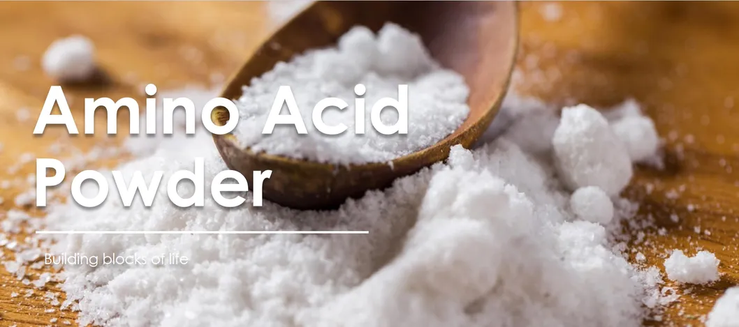 Venda Quente de Fábrica Antioxidante de Grau Alimentar Extrato Natural de Antocianidinas Extrato de Planta Anti-inflamatório Pó Natural de Sabugueiro