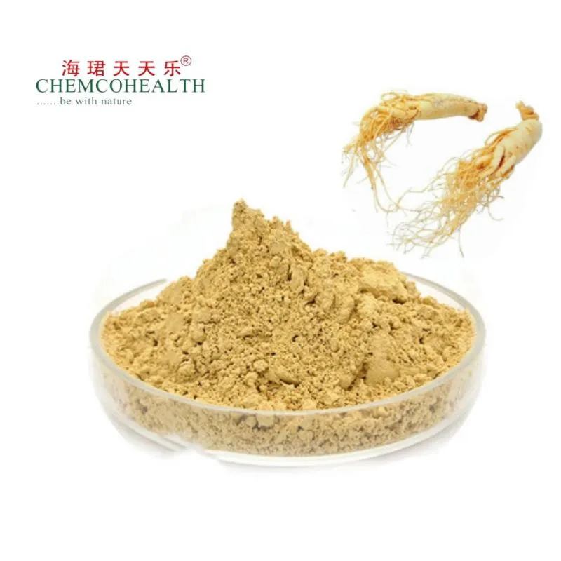 Ginsenosídeos 1%-60%HPLC 1%-80%UV Extrato de Panax Ginseng