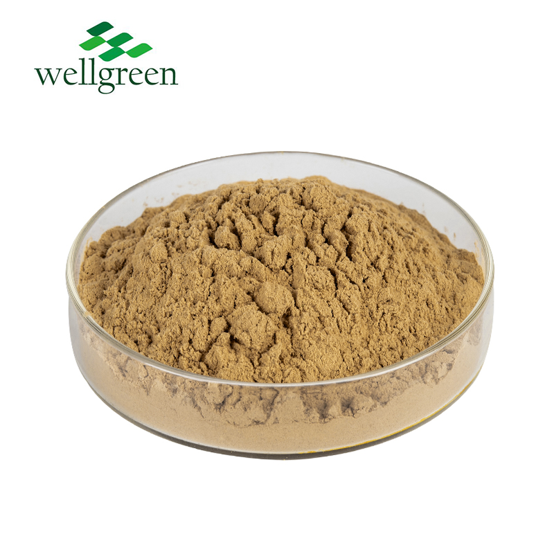 Extrato de Codonopsis C-GMP Potente 10% Saponina Extrato de Raiz de Codonopsis Pilosula