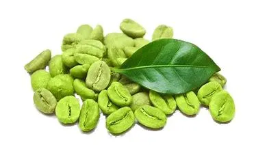 Extrato de Grão de Café Verde Natural Halar e Certificado Kosher