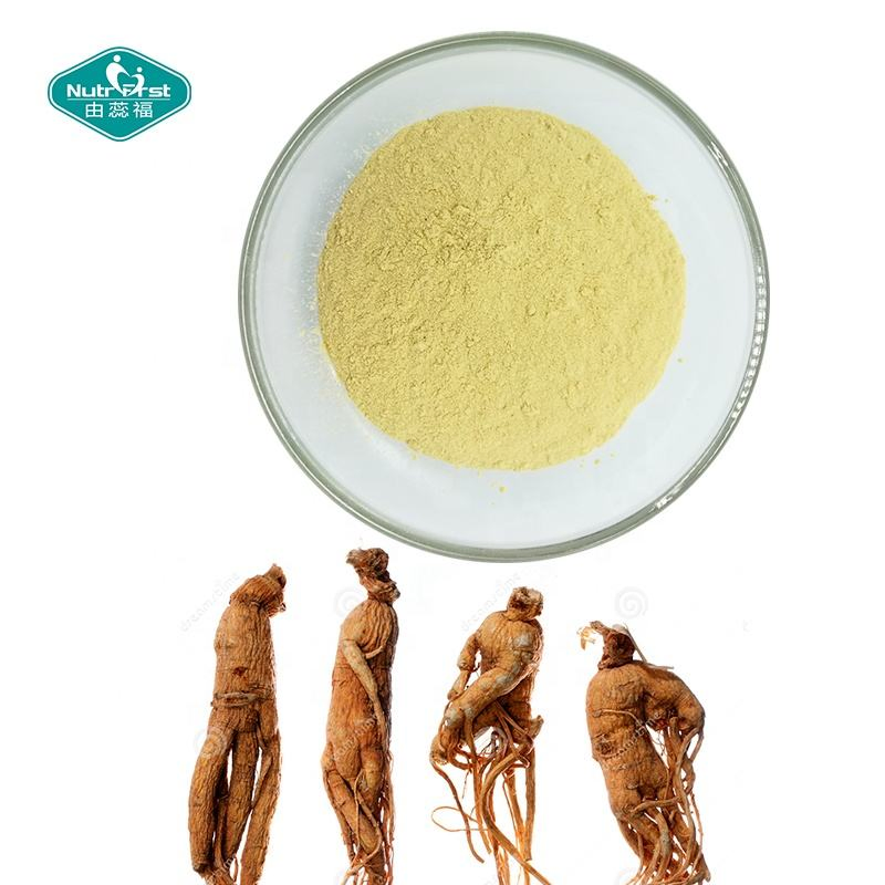 Pó de Peptídeo de Grau Alimentício Nutrifirst Extrato de Raiz de Ginseng Solúvel em Água Molécula Pequena