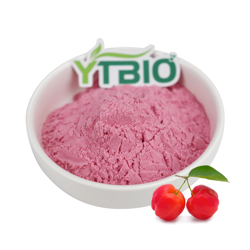 Extrato de Cereja Acerola Rico em Vitamina C Pó de Extrato de Fruta de Cereja Acerola