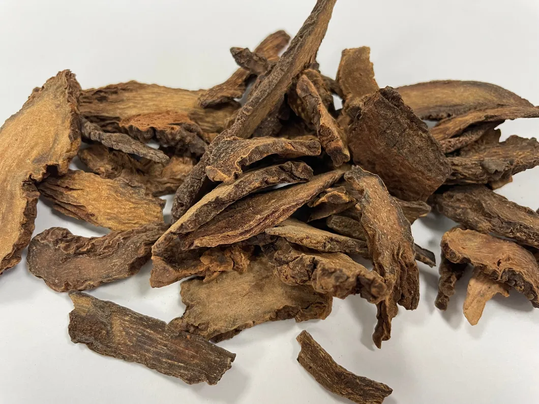 Erva Cynomorii Suo Yang Venda Quente Medicina Tradicional Chinesa Erva Natural Seca