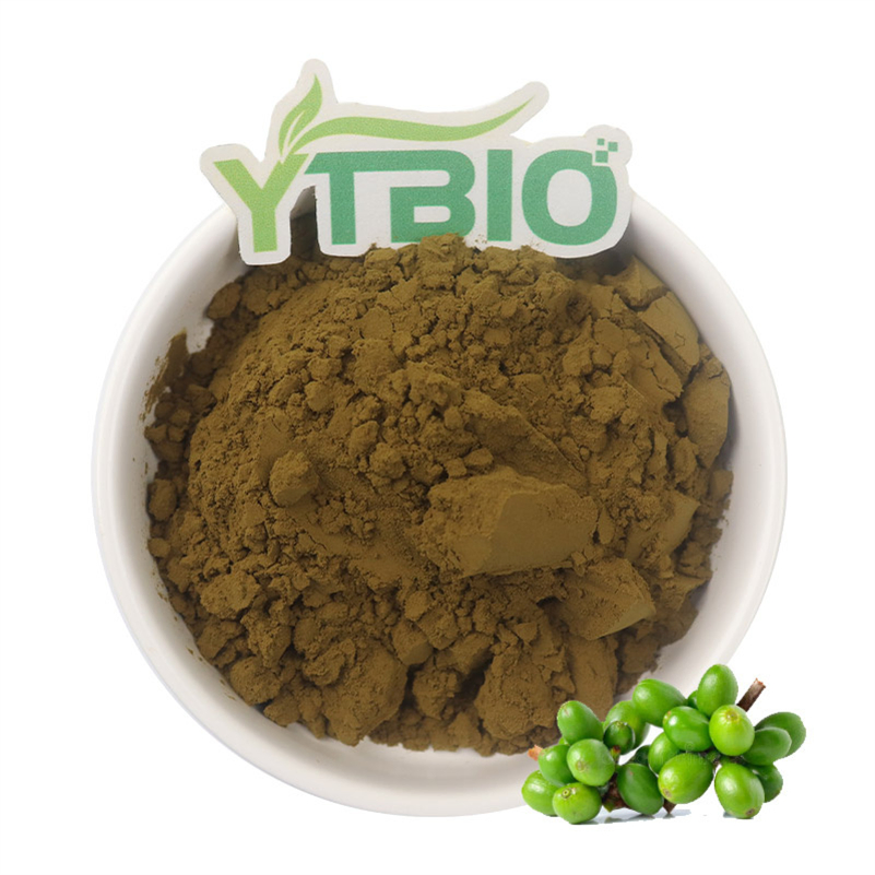 Extrato Natural de Planta Ácido Clorogênico 50% 98% CAS 9000-38-8 Extrato de Grão de Café Verde / Extrato de Flor de Jasmim