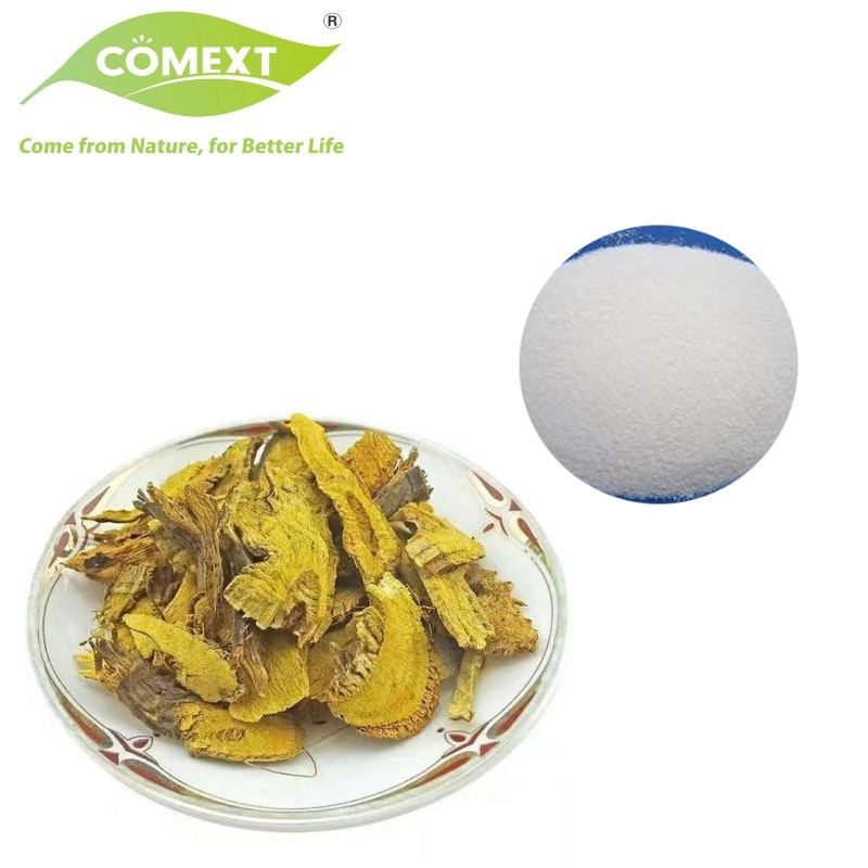 Comext Fssc Fábrica da China Amostra Grátis HPLC 50% 98% Extrato em Pó de Planta de Erva Natural Polygonum Cuspidatum Knotweed Gigante Antioxidante Resveratrol para Cuidados com a Pele