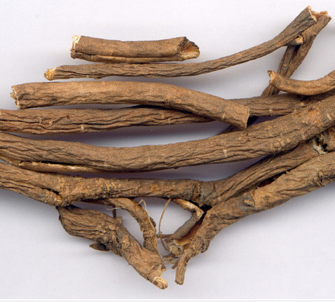 Extrato de Ginseng Siberiano 0.8% Eleuterósidos B+E Pó de Extrato de Raiz de Eleuthero Premium