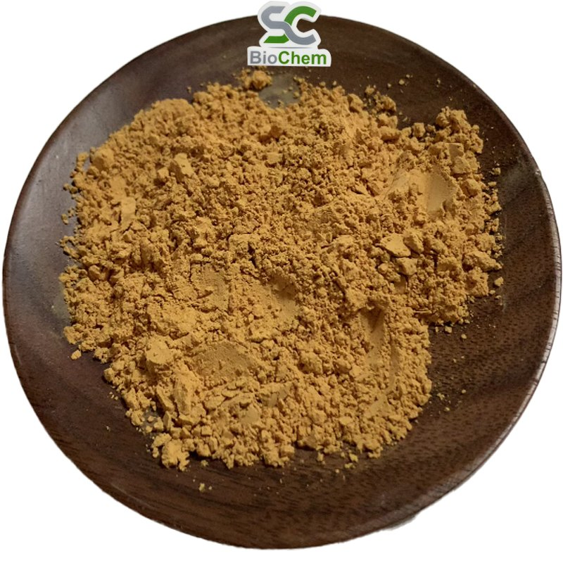 Ingrediente Herbal Orgânico Natural em Pó Concentrado Extrato de Cardo Mariano e Alcachofra para Perda de Peso