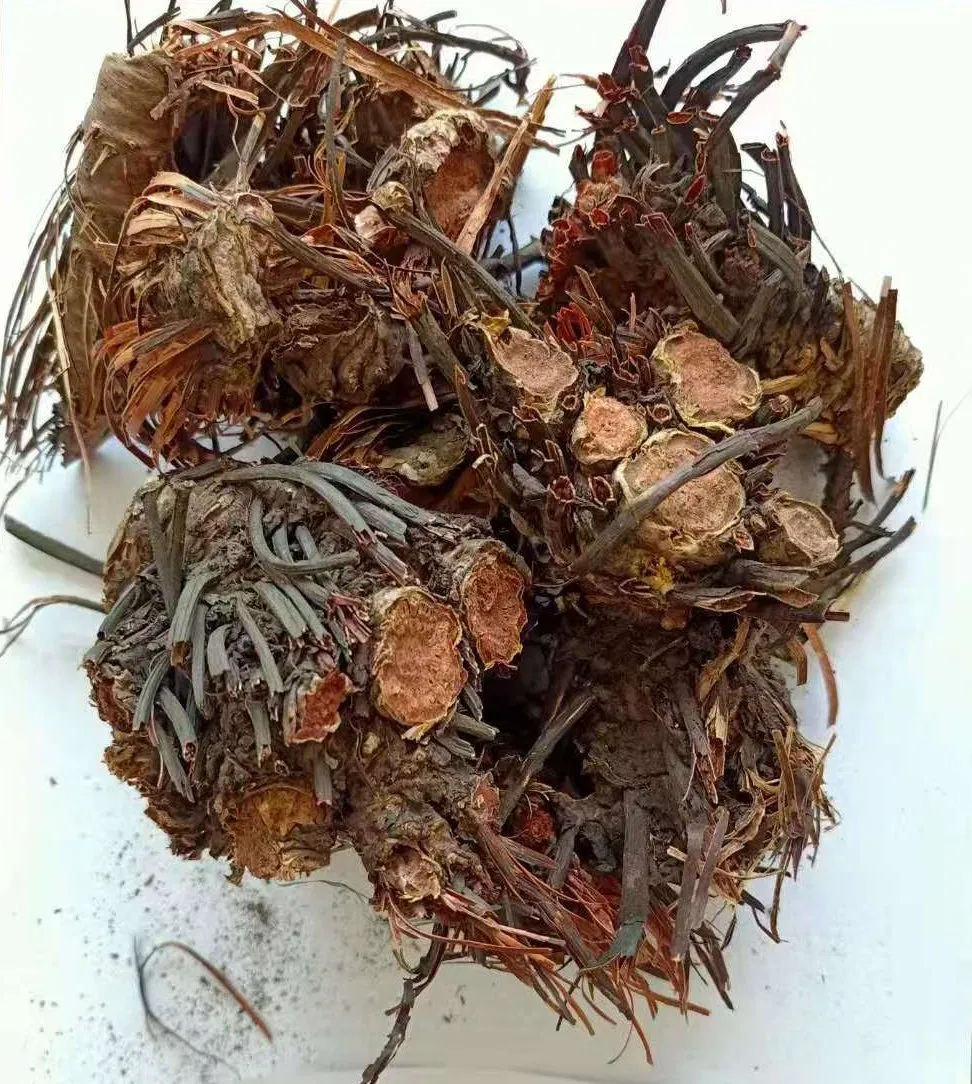 2% Extrato de Rhodiola Rosea HPLC Salidrosídeo com Amostra Grátis