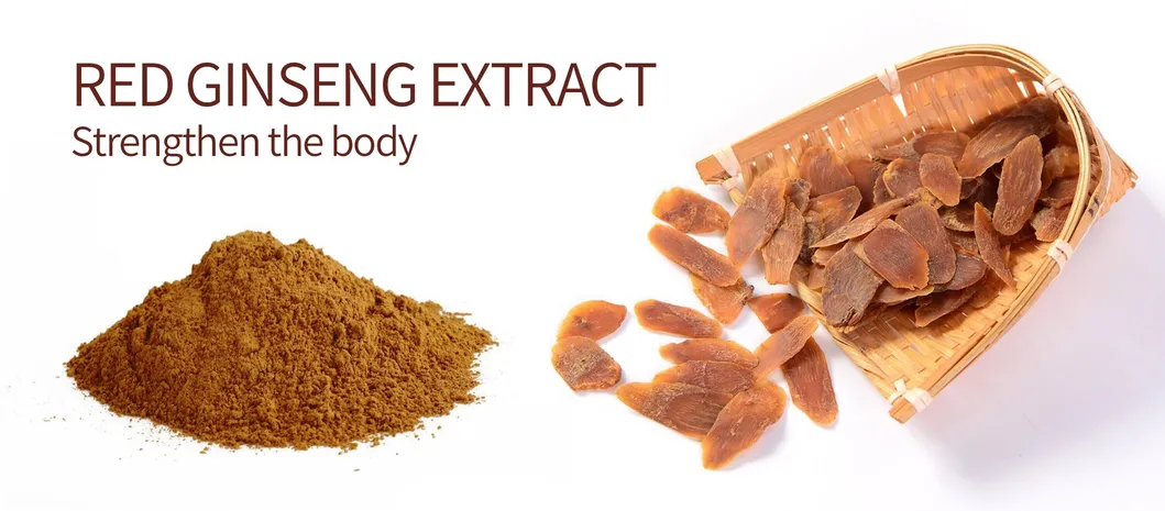 Fornecimento de Fábrica Pó de Extrato de Raiz de Ginseng Vermelho 5%~80% Ginsenosídeos Extrato de Ginseng Panax
