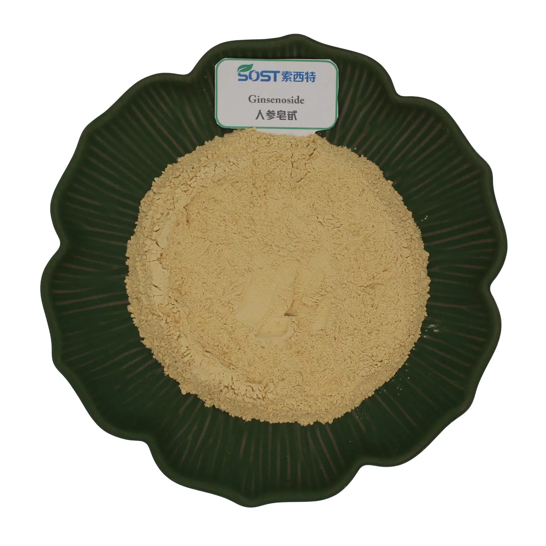 100% solúvel em água extrato de folha de ginseng panax