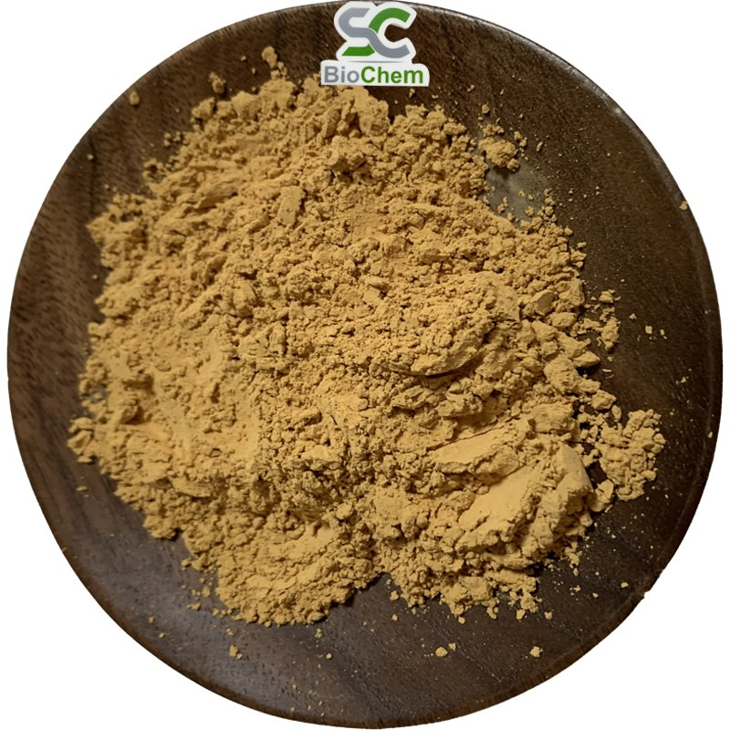 Ingrediente Herbal Orgânico Natural em Pó Concentrado Extrato de Cardo Mariano e Alcachofra para Perda de Peso