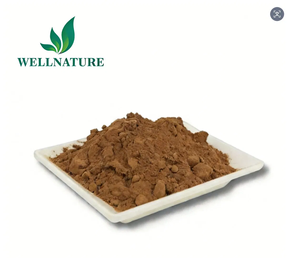 Pó Padronizado Natural para Antioxidante e Suplemento de Saúde Extrato de Folhas de Curry