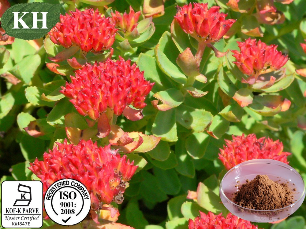 Número CAS: 10338-51-9 Extrato Natural de Rhodiola Rosea com Alta Qualidade de Rosavinas Salidrosídeo