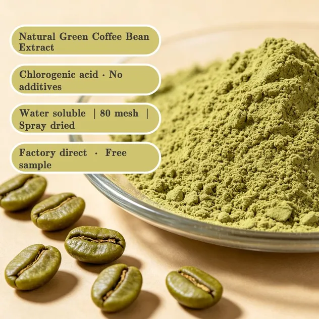 Extrato de Grão de Café Verde 3