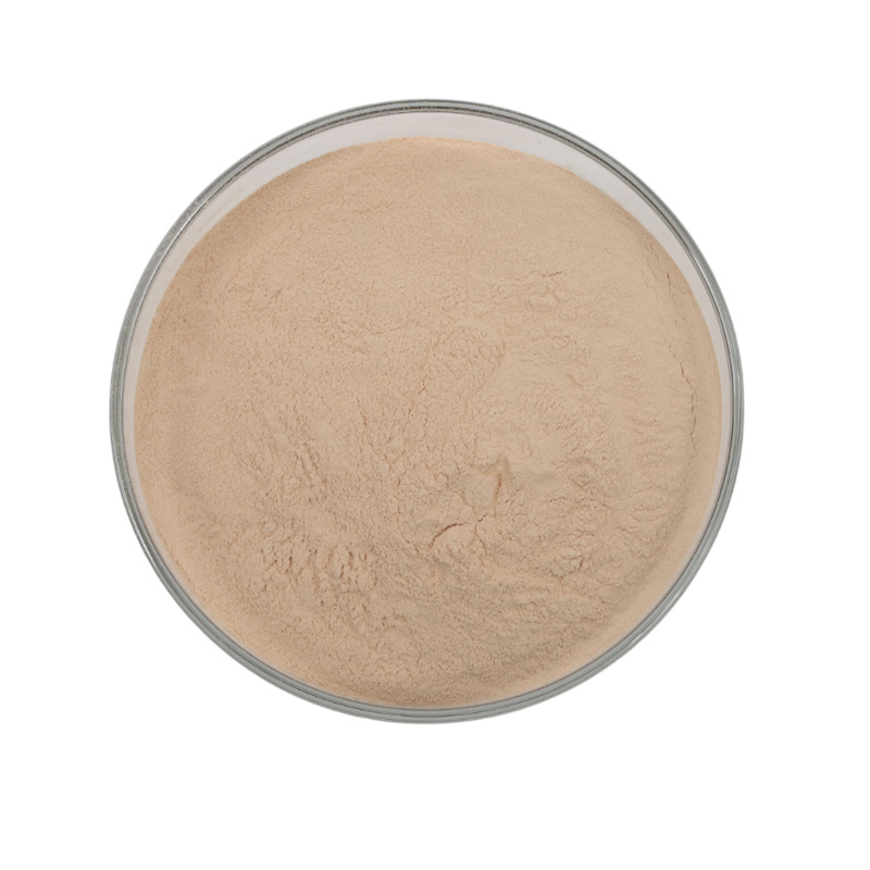 Fornecimento de Fábrica 80% Extrato de Ginseng Panax UV
