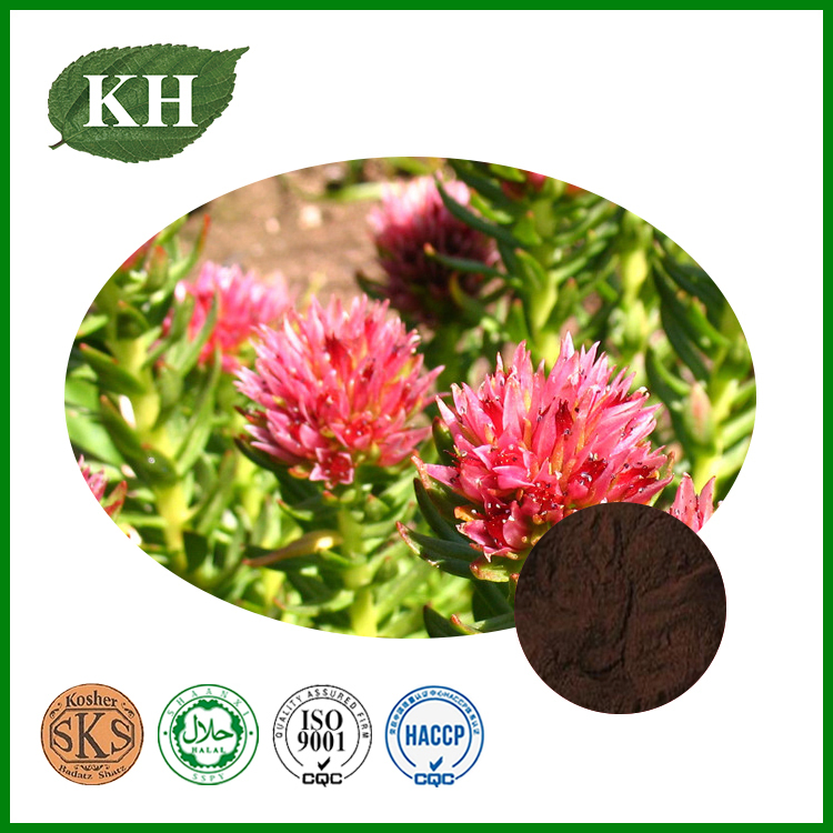 Número CAS: 10338-51-9 Extrato Natural de Rhodiola Rosea com Alta Qualidade de Rosavinas Salidrosídeo