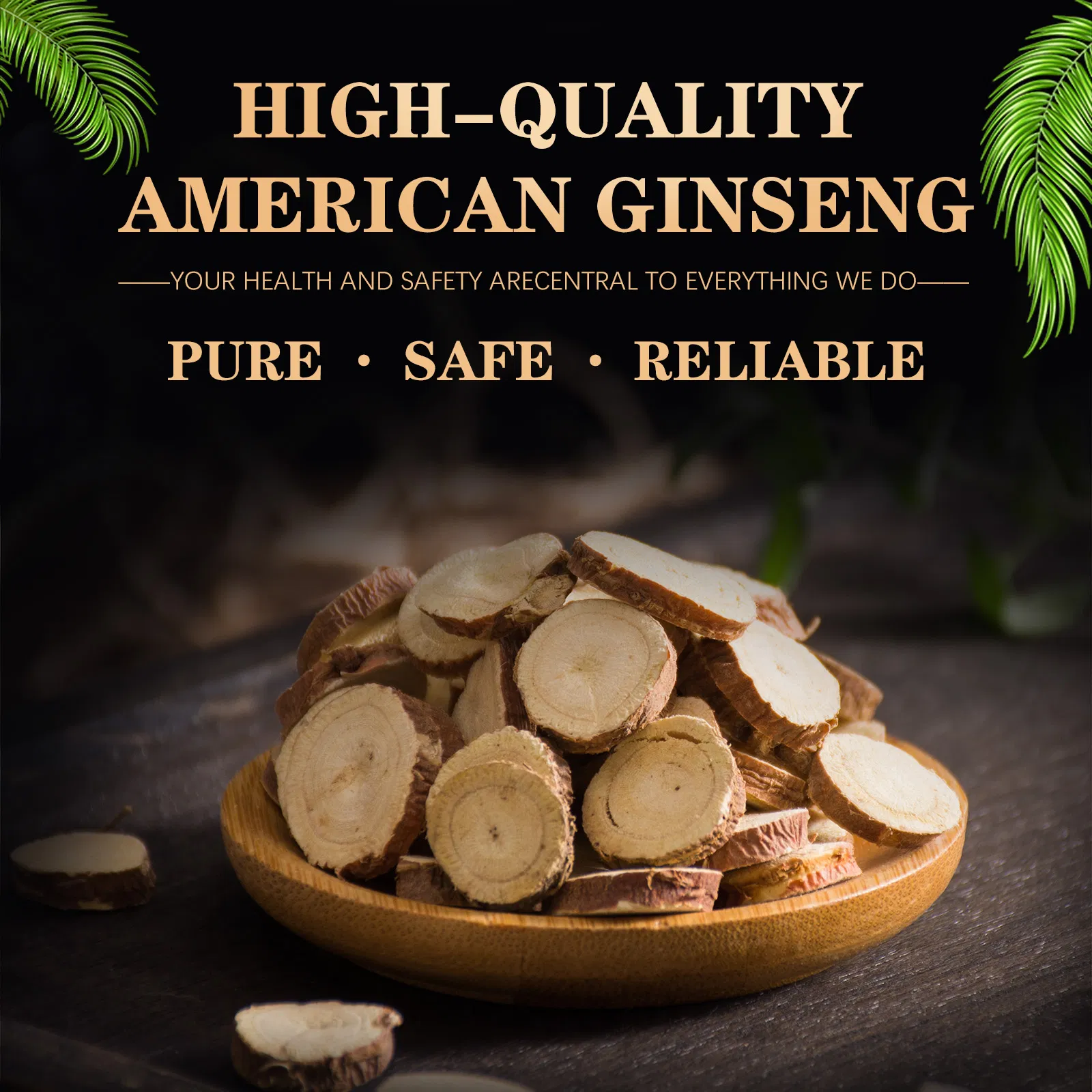 Extrato de Ginseng Americano Premium