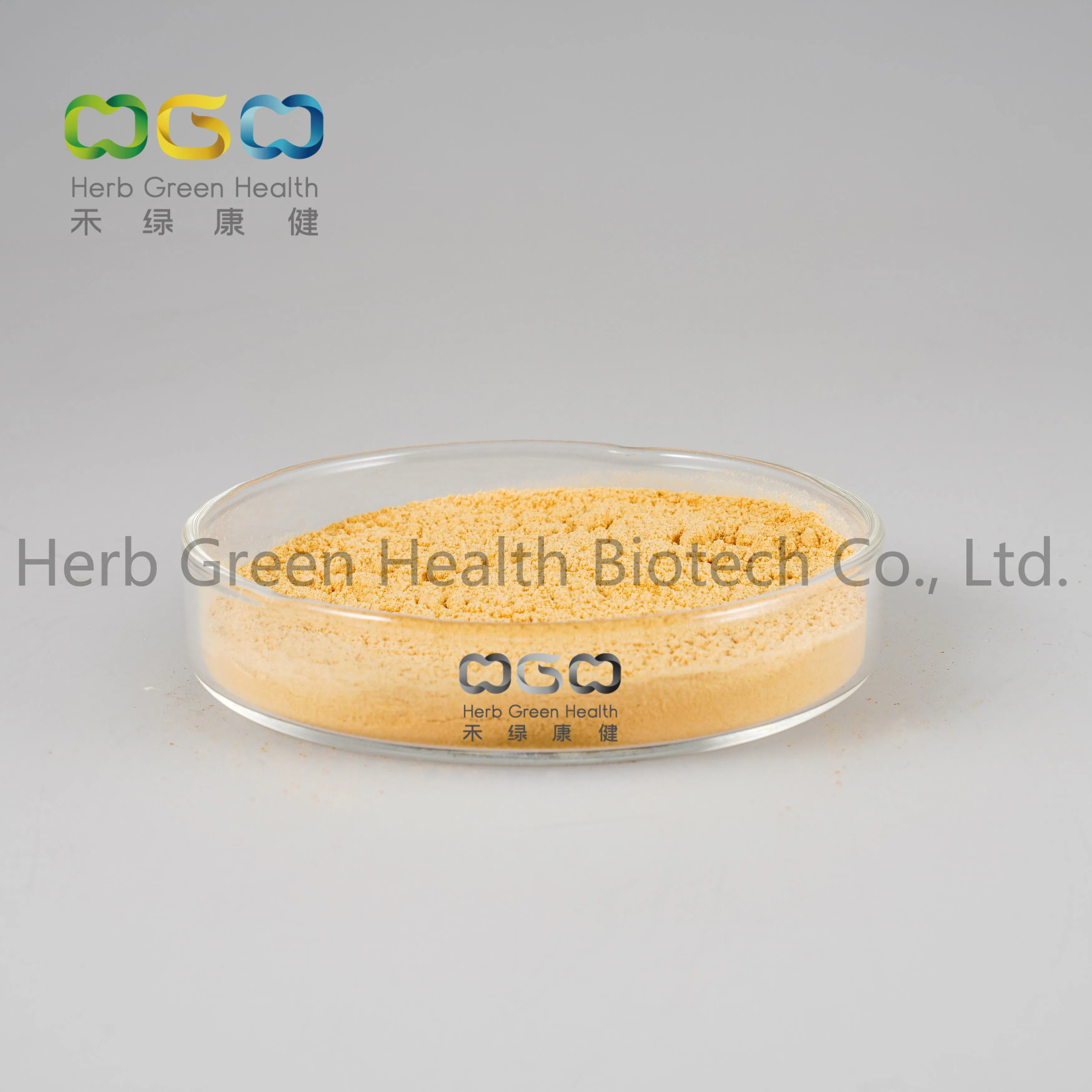 Venda por atacado de Ginsenosídeo Natural 45% HPLC / 80% UV Ec396 Extrato de Folha de Panax Ginseng Fornecimento de Fábrica Preço em Grande Escala