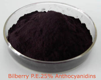 Extrato de Planta Natural Extrato de Mirtilo 10%~25% Antocianidinas (UV-VIS) Antioxidante Fornecimento de Fábrica