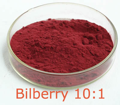 Extrato de Planta Natural Extrato de Mirtilo 10%~25% Antocianidinas (UV-VIS) Antioxidante Fornecimento de Fábrica