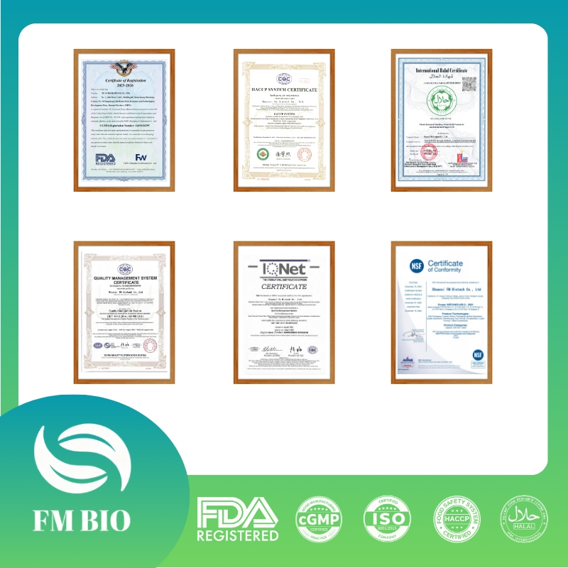 Óleo de Orégano Carvacrol Alto OEM ODM em Gotinhas