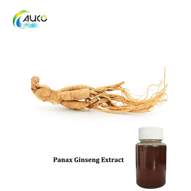 Extrato de Ginseng Panax de Alta Qualidade para Melhoria da Saúde e Bem-Estar