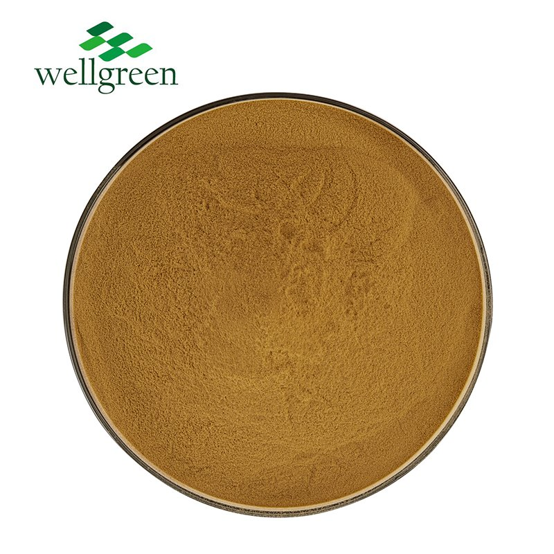 Extrato de Folha de Bambu de Alta Qualidade 70% Pó de Extrato de Bambu Orgânico Natural