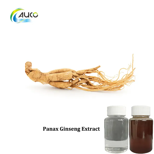 Extrato de Ginseng Panax de Alta Qualidade para Melhoria da Saúde e Bem-Estar