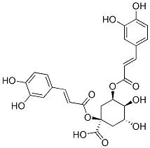 Estrutura Molecular - Extrato de Alcachofra