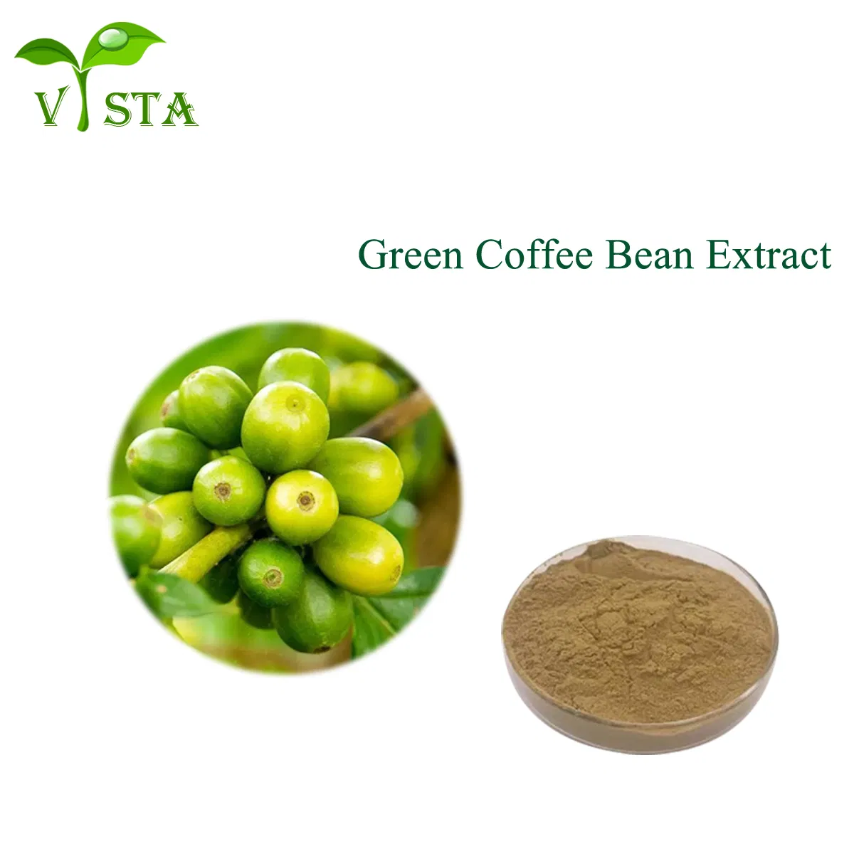100% Extrato de Grão de Café Verde Natural Halar e Certificado Kosher