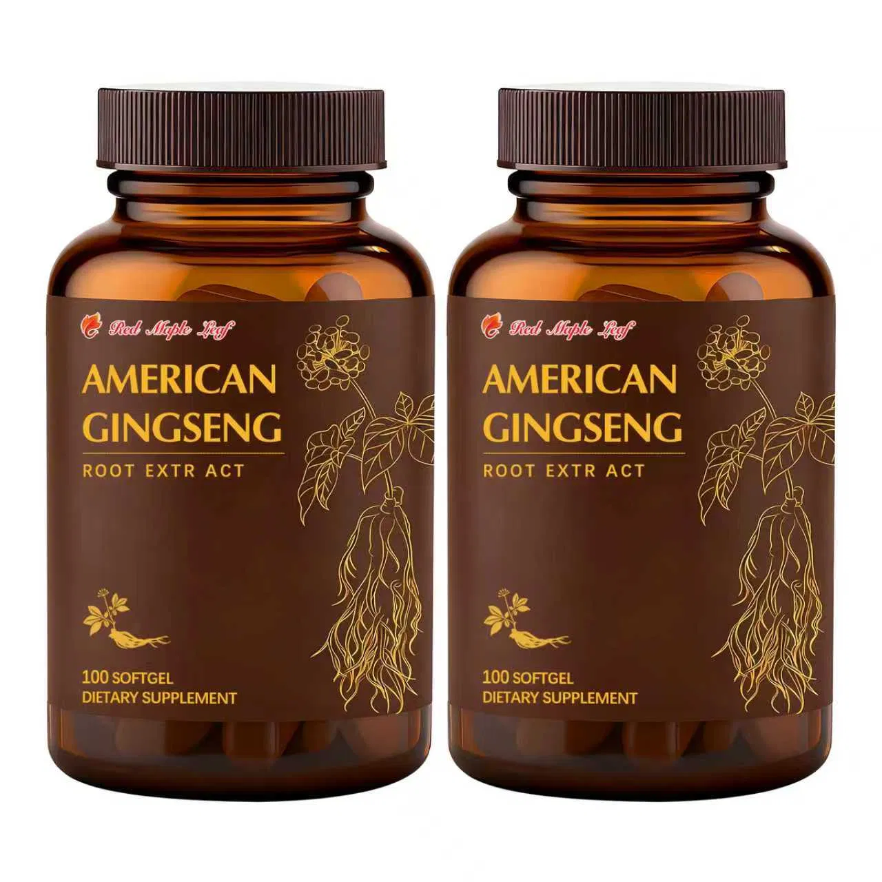 Extrato de Ginseng Americano Premium para Memória e Foco Aprimorados